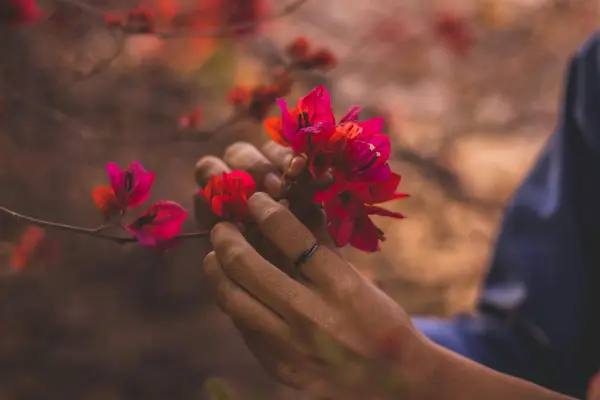 抖音蓝v要哪些条件?抖音蓝v到期了怎么办?
