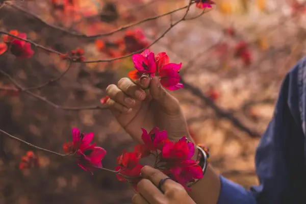 抖音发布作品最佳时间是几点?几点发布视频效果最好?
