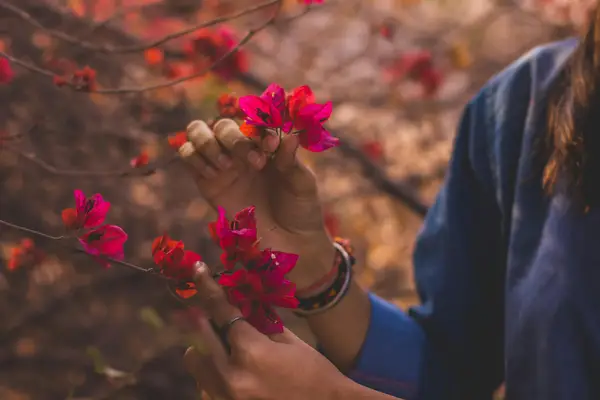抖音橱窗怎么绑定淘宝?抖音橱窗怎么放链接?