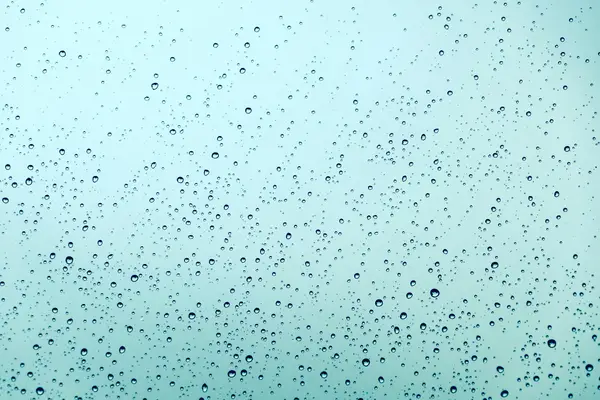 抖音小店过敏险是什么？保费标准有哪些？