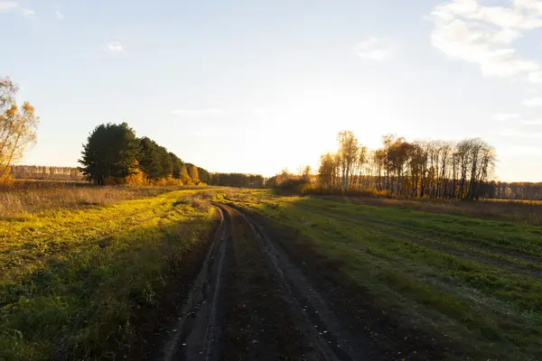 抖音小店入驻最新流程分享,如何入驻?