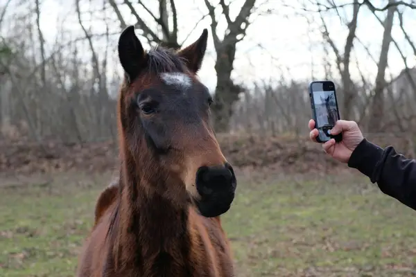 快手里面有同城吗,快手怎么关掉同城