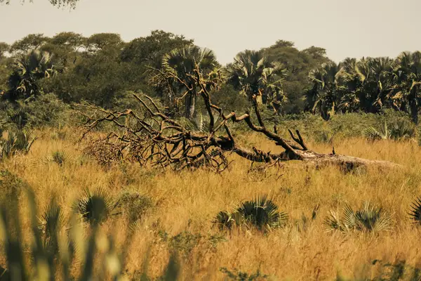 聊天记录能发快手吗安全吗,可以发快手的聊天记录