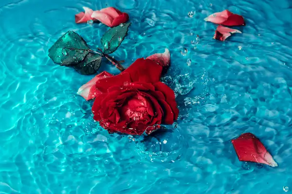 抖音极速版接不了视频吗?