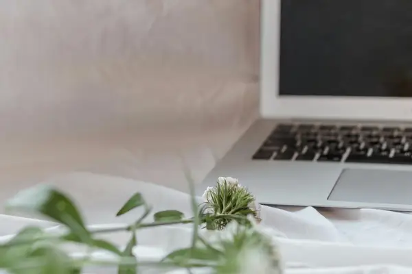 快手播放量可以换现金吗,快手现金分在哪里