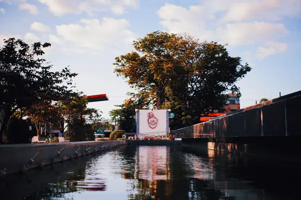 抖音达人闪购是什么?如何使用?