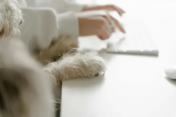 快手粉丝群里面可以聊天吗,快手粉丝群怎么设置管理员