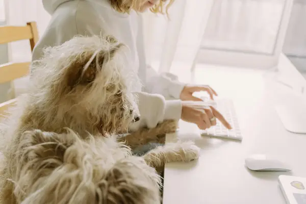 2023年抖音38好物节活动什么时候开始?如何玩?