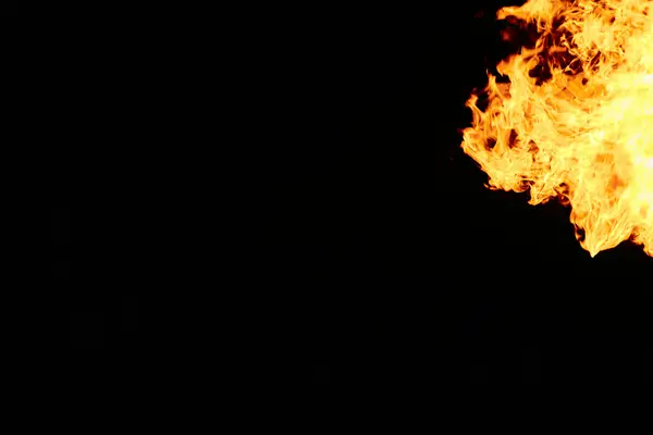 抖音多个主播连视频怎么查看其他主播