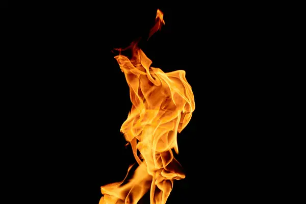 怎么找回以前的抖音号和昵称?