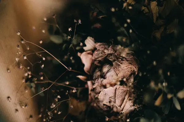 做抖音直播真的那么赚钱吗(抖音直播赚钱的前提条件)