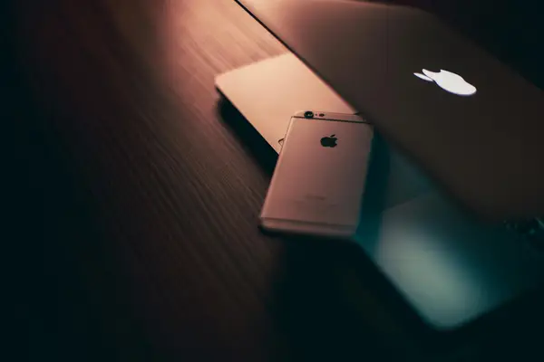 《小红书与小红家的奇妙碰撞，探索社交新体验》
