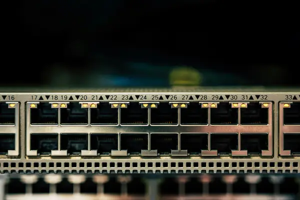tiktok如何养号定标签 分享tiktok账号养护技巧和标签选取方法